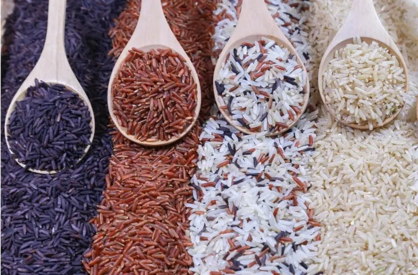 Hamburguer 10 Lvej - Image 6350 (February 8, 2026)