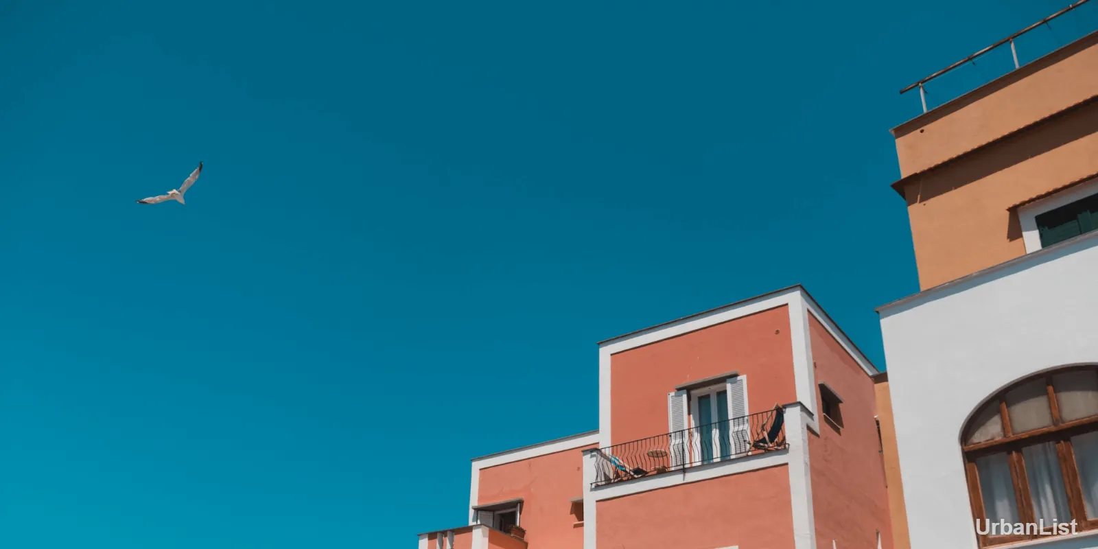 - Image 02 (January 29, 2026)