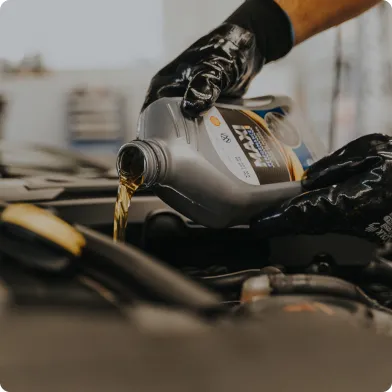 Demo Category 00002 07 Nn3e - Image 6835 (March 3, 2026)