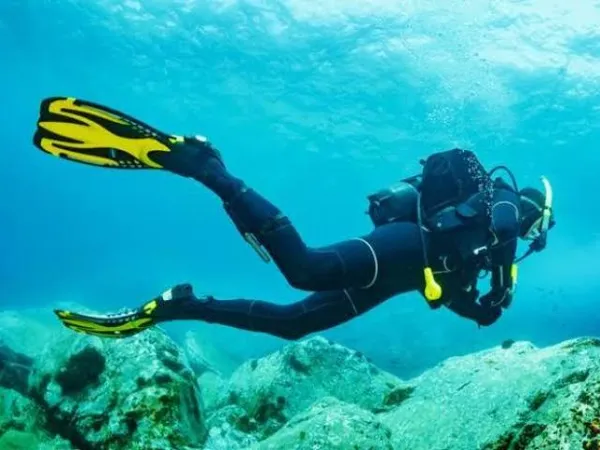 Dia na fazendinha com animais e atividades para crianças - Image 02 (April 23, 2026)