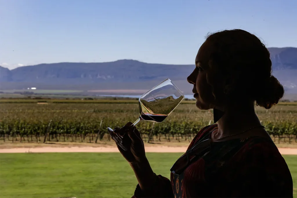 Dia na fazendinha com animais e atividades para crianças - Image 04 (April 23, 2026)