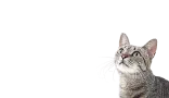 Urbn Image 141 166 9z0l - Image 7756 (April 27, 2026)