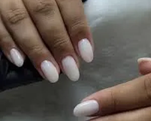 Beleza Natural Studio - Image 05 (February 11, 2026)