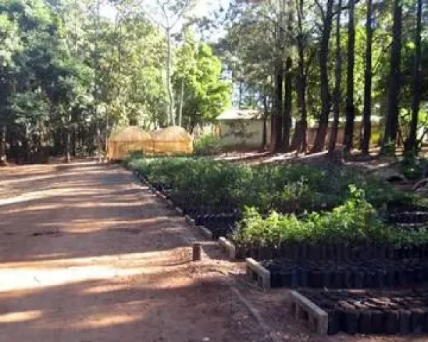 EcoCidade Soluções Ambientais - Image 02 (February 11, 2026)